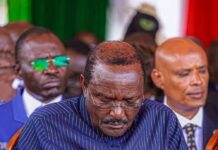 Opinion: Can Kalonzo Reverse Kenya’s Political Tide?