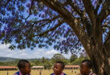 How Three Rocks and Free Pastries Bribed a Kenyan Village Into Academic Excellence