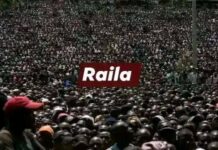 AFRICAN OPPOSITION CONFUSES NOISY RALLIES WITH POWER; WARNED THEY HAVE NOT ACTUALLY SLAUGHTERED THE HOLIDAY TURKEY YET